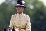 DBPC Polo in the Park 2013, side saddle riding demonstration by the The Side Saddle Association..
Dallas Burston Polo Club, ,
Southam,
Warwickshire,
United Kingdom,
on 01 September 2013 at 13:02, image #282