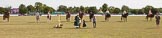 DBPC Polo in the Park 2013, side saddle riding demonstration by the The Side Saddle Association..
Dallas Burston Polo Club, ,
Southam,
Warwickshire,
United Kingdom,
on 01 September 2013 at 13:22, image #353