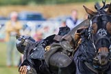 DBPC Polo in the Park 2013 - jousting display by the Knights of Middle England.
Dallas Burston Polo Club, ,
Southam,
Warwickshire,
United Kingdom,
on 01 September 2013 at 15:42, image #517