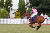 DBPC Polo in the Park 2013, Final of the Tusk Trophy (4 Goals), Rutland vs C.A.N.I..
Dallas Burston Polo Club, ,
Southam,
Warwickshire,
United Kingdom,
on 01 September 2013 at 17:09, image #639