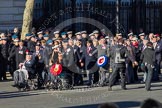 Remembrance Sunday 2012 Cenotaph March Past: Group F2 - Aden Veterans Association..
Whitehall, Cenotaph,
London SW1,

United Kingdom,
on 11 November 2012 at 11:44, image #384