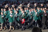 Remembrance Sunday 2012 Cenotaph March Past: Group 19 - Ulster Defence Regiment..
Whitehall, Cenotaph,
London SW1,

United Kingdom,
on 11 November 2012 at 12:08, image #1381