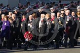 Remembrance Sunday 2012 Cenotaph March Past: Group M5  - Children of the Far East Prisoners of War and M6 - Evacuees Reunion Association..
Whitehall, Cenotaph,
London SW1,

United Kingdom,
on 11 November 2012 at 12:09, image #1462
