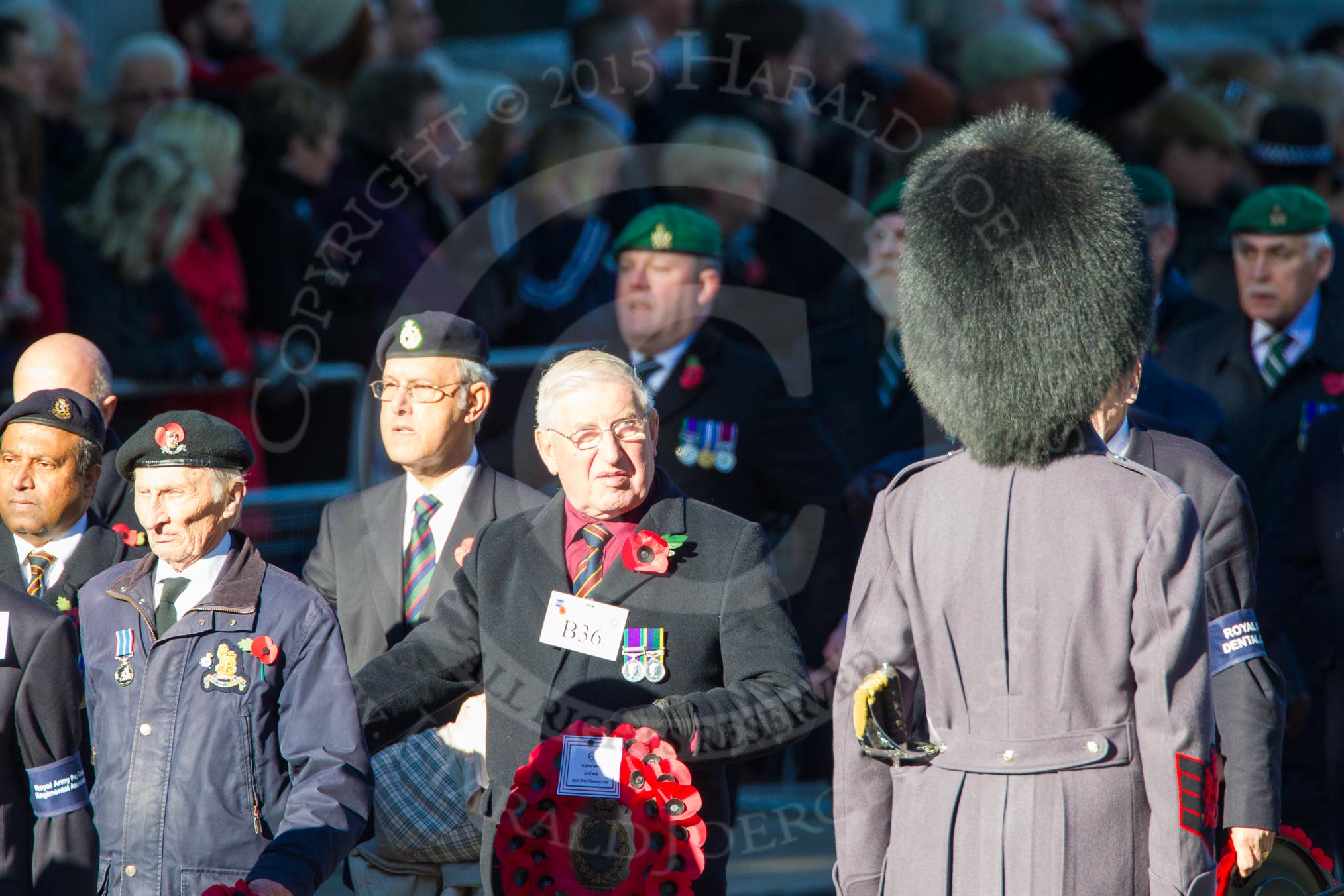 Remembrance Sunday Cenotaph March Past 2013: B36 - Royal Army Veterinary Corps & Royal Army Dental Corps..
Press stand opposite the Foreign Office building, Whitehall, London SW1,
London,
Greater London,
United Kingdom,
on 10 November 2013 at 12:04, image #1609