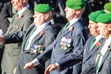 Remembrance Sunday Cenotaph March Past 2013: D11 - Foreign Legion Association..
Press stand opposite the Foreign Office building, Whitehall, London SW1,
London,
Greater London,
United Kingdom,
on 10 November 2013 at 11:39, image #87