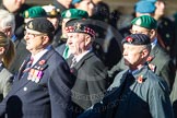 Remembrance Sunday Cenotaph March Past 2013: D13 - The Royal British Legion. There are more photos of this large group, please email Cenotaph@HaraldJoergens.com if interested..
Press stand opposite the Foreign Office building, Whitehall, London SW1,
London,
Greater London,
United Kingdom,
on 10 November 2013 at 11:40, image #105