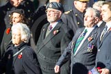 Remembrance Sunday Cenotaph March Past 2013: D13 - The Royal British Legion. There are more photos of this large group, please email Cenotaph@HaraldJoergens.com if interested..
Press stand opposite the Foreign Office building, Whitehall, London SW1,
London,
Greater London,
United Kingdom,
on 10 November 2013 at 11:40, image #114