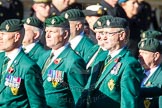 Remembrance Sunday Cenotaph March Past 2013: D16 - Ulster Defence Regiment..
Press stand opposite the Foreign Office building, Whitehall, London SW1,
London,
Greater London,
United Kingdom,
on 10 November 2013 at 11:40, image #131
