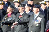 Photo 1311101140501D48307HaraldJoergens Remembrance Sunday Cenotaph March Past 2013: D18 - the Northrn Ireland Veterans' Association  with 42 marchers, or D19 - the Irish United Nations Veterans Association with 12 marchers, more information would be appreciated!.
Press stand opposite the Foreign Office building, Whitehall, London SW1,
London,
Greater London,
United Kingdom,
on 10 November 2013 at 11:40, image #143