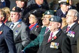 Remembrance Sunday Cenotaph March Past 2013: D24 - SSAFA Forces Help, set up to help former and serving members of the British Armed Forces and their families or dependants..
Press stand opposite the Foreign Office building, Whitehall, London SW1,
London,
Greater London,
United Kingdom,
on 10 November 2013 at 11:41, image #200