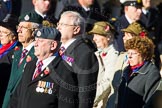 Remembrance Sunday Cenotaph March Past 2013: D24 - SSAFA Forces Help, set up to help former and serving members of the British Armed Forces and their families or dependants. On the left, with the RAF beret, is the Parade Commander, Mr Kevin Trethowan, who has volunteered for SSAFA since 1998..
Press stand opposite the Foreign Office building, Whitehall, London SW1,
London,
Greater London,
United Kingdom,
on 10 November 2013 at 11:41, image #202