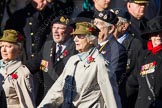 Remembrance Sunday Cenotaph March Past 2013: D25 - First Aid Nursing Yeomanry (Princess Royal's Volunteers Corps)..
Press stand opposite the Foreign Office building, Whitehall, London SW1,
London,
Greater London,
United Kingdom,
on 10 November 2013 at 11:41, image #208