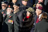 Remembrance Sunday Cenotaph March Past 2013: D26 - Association of Jewish Ex-Servicemen & Women..
Press stand opposite the Foreign Office building, Whitehall, London SW1,
London,
Greater London,
United Kingdom,
on 10 November 2013 at 11:41, image #210