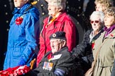 Photo 1311101141501D48444HaraldJoergens Remembrance Sunday Cenotaph March Past 2013: D27 - British Nuclear Test Veterans Association..
Press stand opposite the Foreign Office building, Whitehall, London SW1,
London,
Greater London,
United Kingdom,
on 10 November 2013 at 11:41, image #217