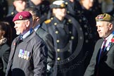 Remembrance Sunday Cenotaph March Past 2013.
Press stand opposite the Foreign Office building, Whitehall, London SW1,
London,
Greater London,
United Kingdom,
on 10 November 2013 at 11:42, image #242