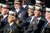 Remembrance Sunday Cenotaph March Past 2013: E23 - HMS St Vincent Association..
Press stand opposite the Foreign Office building, Whitehall, London SW1,
London,
Greater London,
United Kingdom,
on 10 November 2013 at 11:47, image #529
