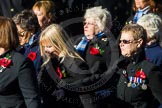 Remembrance Sunday Cenotaph March Past 2013: E30 - Association of WRENS..
Press stand opposite the Foreign Office building, Whitehall, London SW1,
London,
Greater London,
United Kingdom,
on 10 November 2013 at 11:47, image #603