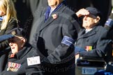 Remembrance Sunday Cenotaph March Past 2013: E34 - Royal Naval Benevolent Trust..
Press stand opposite the Foreign Office building, Whitehall, London SW1,
London,
Greater London,
United Kingdom,
on 10 November 2013 at 11:48, image #645