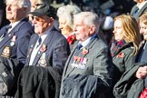 Remembrance Sunday Cenotaph March Past 2013: E37 - Yangtze Incident Association..
Press stand opposite the Foreign Office building, Whitehall, London SW1,
London,
Greater London,
United Kingdom,
on 10 November 2013 at 11:49, image #673