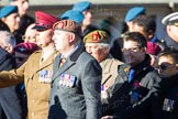 Remembrance Sunday Cenotaph March Past 2013: F22 - Black and White Club..
Press stand opposite the Foreign Office building, Whitehall, London SW1,
London,
Greater London,
United Kingdom,
on 10 November 2013 at 11:53, image #969