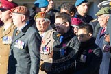 Remembrance Sunday Cenotaph March Past 2013: F22 - Black and White Club..
Press stand opposite the Foreign Office building, Whitehall, London SW1,
London,
Greater London,
United Kingdom,
on 10 November 2013 at 11:53, image #970