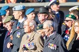 Remembrance Sunday Cenotaph March Past 2013: F22 - Black and White Club..
Press stand opposite the Foreign Office building, Whitehall, London SW1,
London,
Greater London,
United Kingdom,
on 10 November 2013 at 11:54, image #973