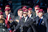 Remembrance Sunday Cenotaph March Past 2013: A17 - Parachute Regimental Association..
Press stand opposite the Foreign Office building, Whitehall, London SW1,
London,
Greater London,
United Kingdom,
on 10 November 2013 at 11:56, image #1161