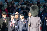 Remembrance Sunday Cenotaph March Past 2013: B35 - Royal Army Pay Corps Regimental Association..
Press stand opposite the Foreign Office building, Whitehall, London SW1,
London,
Greater London,
United Kingdom,
on 10 November 2013 at 12:04, image #1607