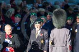 Remembrance Sunday Cenotaph March Past 2013: B36 - Royal Army Veterinary Corps & Royal Army Dental Corps..
Press stand opposite the Foreign Office building, Whitehall, London SW1,
London,
Greater London,
United Kingdom,
on 10 November 2013 at 12:04, image #1611