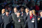 Remembrance Sunday Cenotaph March Past 2013: B38 - Royal Army Physical Training Corps..
Press stand opposite the Foreign Office building, Whitehall, London SW1,
London,
Greater London,
United Kingdom,
on 10 November 2013 at 12:04, image #1629