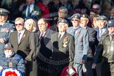 Remembrance Sunday Cenotaph March Past 2013: C1 - Royal Air Forces Association..
Press stand opposite the Foreign Office building, Whitehall, London SW1,
London,
Greater London,
United Kingdom,
on 10 November 2013 at 12:05, image #1655