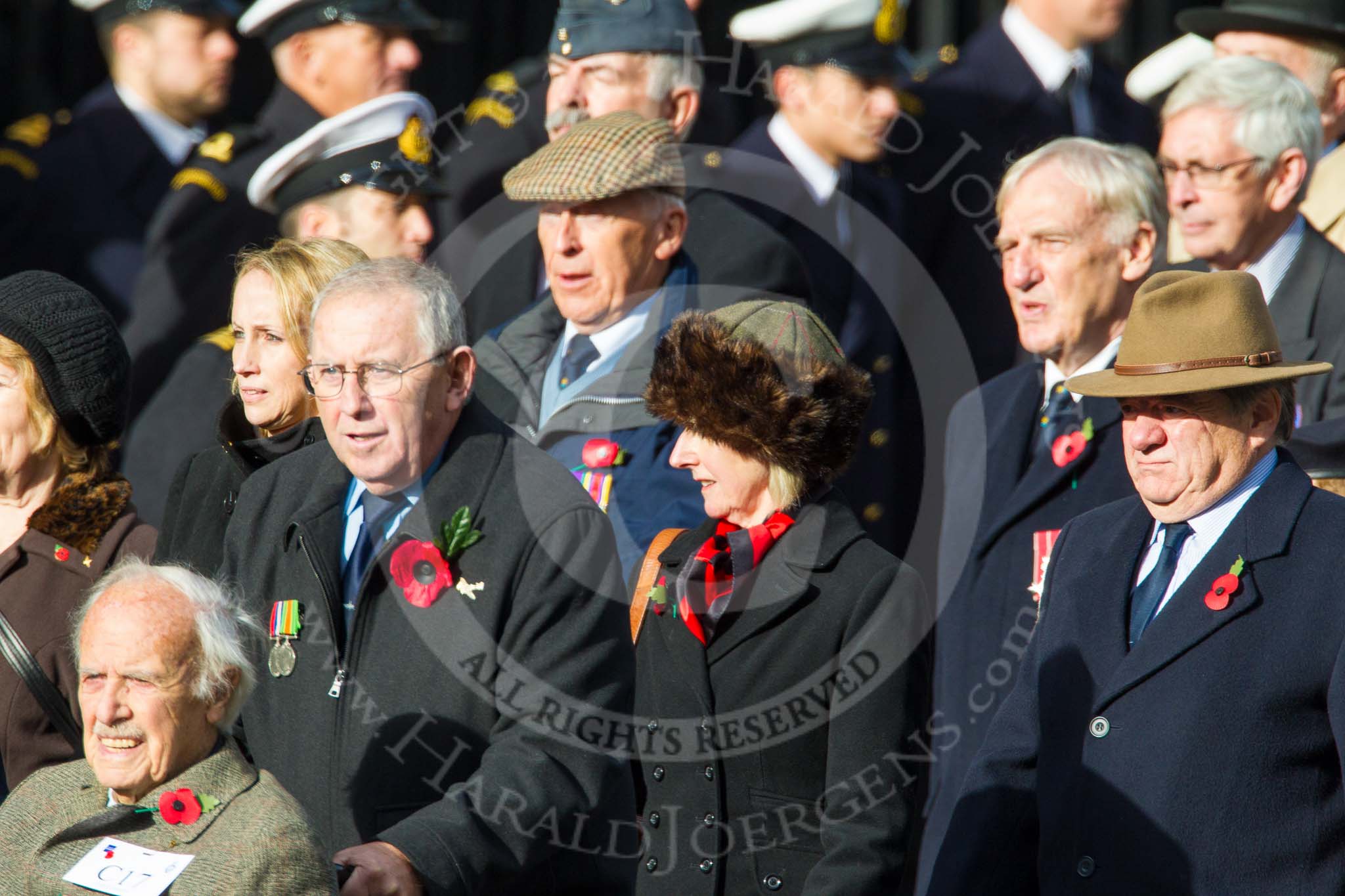 Remembrance Sunday at the Cenotaph in London 2014: Group C17 - Blenheim Society.
Press stand opposite the Foreign Office building, Whitehall, London SW1,
London,
Greater London,
United Kingdom,
on 09 November 2014 at 11:40, image #154