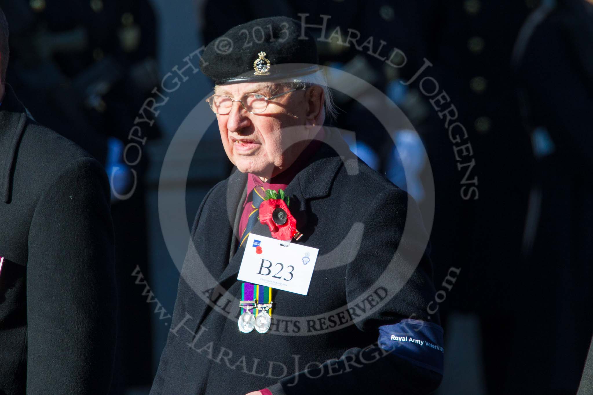 Remembrance Sunday at the Cenotaph in London 2014: Group B23 - Royal Army Veterinary Corps & Royal Army Dental Corps.
Press stand opposite the Foreign Office building, Whitehall, London SW1,
London,
Greater London,
United Kingdom,
on 09 November 2014 at 12:11, image #1773
