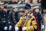 Remembrance Sunday at the Cenotaph in London 2014: Drum Major Tony Taylor, Coldstream Guards.
Press stand opposite the Foreign Office building, Whitehall, London SW1,
London,
Greater London,
United Kingdom,
on 09 November 2014 at 11:31, image #3