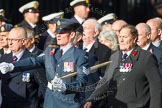 Remembrance Sunday at the Cenotaph in London 2014: Group C2 - Royal Air Force Regiment Association.
Press stand opposite the Foreign Office building, Whitehall, London SW1,
London,
Greater London,
United Kingdom,
on 09 November 2014 at 11:37, image #40