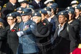 Remembrance Sunday at the Cenotaph in London 2014: Group C2 - Royal Air Force Regiment Association.
Press stand opposite the Foreign Office building, Whitehall, London SW1,
London,
Greater London,
United Kingdom,
on 09 November 2014 at 11:38, image #48