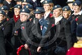 Remembrance Sunday at the Cenotaph in London 2014: Group C2 - Royal Air Force Regiment Association.
Press stand opposite the Foreign Office building, Whitehall, London SW1,
London,
Greater London,
United Kingdom,
on 09 November 2014 at 11:38, image #51