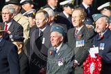 Remembrance Sunday at the Cenotaph in London 2014: Group C17 - Blenheim Society.
Press stand opposite the Foreign Office building, Whitehall, London SW1,
London,
Greater London,
United Kingdom,
on 09 November 2014 at 11:40, image #156