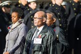 Remembrance Sunday at the Cenotaph in London 2014: Group D27 - West Indian Association of Service Personnel.
Press stand opposite the Foreign Office building, Whitehall, London SW1,
London,
Greater London,
United Kingdom,
on 09 November 2014 at 11:48, image #495