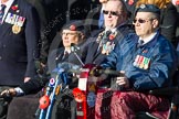 Remembrance Sunday at the Cenotaph in London 2014: Group F15 - National Gulf Veterans & Families Association.
Press stand opposite the Foreign Office building, Whitehall, London SW1,
London,
Greater London,
United Kingdom,
on 09 November 2014 at 11:58, image #1031