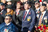 Remembrance Sunday at the Cenotaph in London 2014: Group F15 - National Gulf Veterans & Families Association.
Press stand opposite the Foreign Office building, Whitehall, London SW1,
London,
Greater London,
United Kingdom,
on 09 November 2014 at 11:58, image #1035