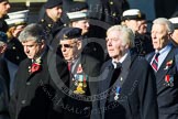 Photo 1411091158411D47513HaraldJoergens Remembrance Sunday at the Cenotaph in London 2014: Group F15 - National Gulf Veterans & Families Association.
Press stand opposite the Foreign Office building, Whitehall, London SW1,
London,
Greater London,
United Kingdom,
on 09 November 2014 at 11:58, image #1050