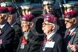 Remembrance Sunday at the Cenotaph in London 2014: Group A20 - Guards Parachute Association.
Press stand opposite the Foreign Office building, Whitehall, London SW1,
London,
Greater London,
United Kingdom,
on 09 November 2014 at 12:04, image #1336
