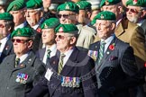 Remembrance Sunday at the Cenotaph in London 2014: Group B1 - Intelligence Corps Association.
Press stand opposite the Foreign Office building, Whitehall, London SW1,
London,
Greater London,
United Kingdom,
on 09 November 2014 at 12:06, image #1485