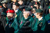 Remembrance Sunday at the Cenotaph in London 2014: Group B2 - Women's Royal Army Corps Association.
Press stand opposite the Foreign Office building, Whitehall, London SW1,
London,
Greater London,
United Kingdom,
on 09 November 2014 at 12:06, image #1505