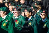Remembrance Sunday at the Cenotaph in London 2014: Group B2 - Women's Royal Army Corps Association.
Press stand opposite the Foreign Office building, Whitehall, London SW1,
London,
Greater London,
United Kingdom,
on 09 November 2014 at 12:07, image #1515