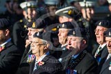 Remembrance Sunday at the Cenotaph in London 2014: Group B6 - 3rd Regiment Royal Horse Artillery Association.
Press stand opposite the Foreign Office building, Whitehall, London SW1,
London,
Greater London,
United Kingdom,
on 09 November 2014 at 12:07, image #1548