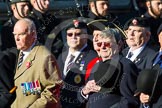 Remembrance Sunday at the Cenotaph in London 2014: Group B13 - Royal Army Service Corps & Royal Corps of Transport Association.
Press stand opposite the Foreign Office building, Whitehall, London SW1,
London,
Greater London,
United Kingdom,
on 09 November 2014 at 12:09, image #1641