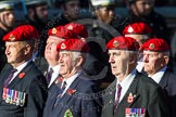 Remembrance Sunday at the Cenotaph in London 2014: Group B20 - Royal Military Police Association.
Press stand opposite the Foreign Office building, Whitehall, London SW1,
London,
Greater London,
United Kingdom,
on 09 November 2014 at 12:11, image #1738