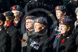 Photo 1411091211501D49171HaraldJoergens Remembrance Sunday at the Cenotaph in London 2014: Group B25 - Queen Alexandra's Royal Army Nursing Corps Association.
Press stand opposite the Foreign Office building, Whitehall, London SW1,
London,
Greater London,
United Kingdom,
on 09 November 2014 at 12:11, image #1787